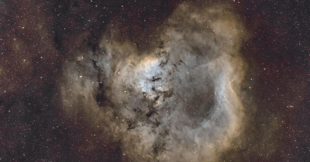 CED 214 | Telescope Live